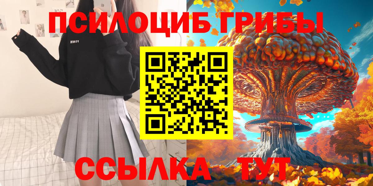 Благовещенск  Псилоцибиновые грибы Magic Shrooms  Вход с VPN 