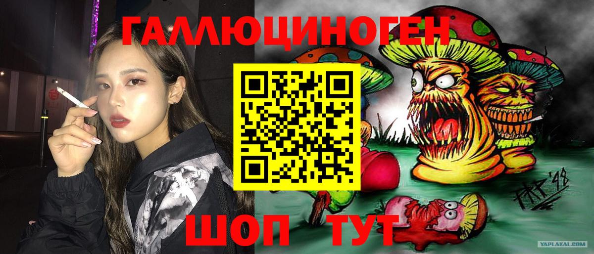 Галлюциногенные грибы Psilocybe Благовещенск